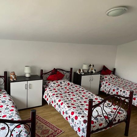 Vila Ekooos Brasov Ngoại thất bức ảnh