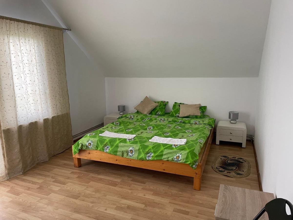 Vila Ekooos Brasov Ngoại thất bức ảnh