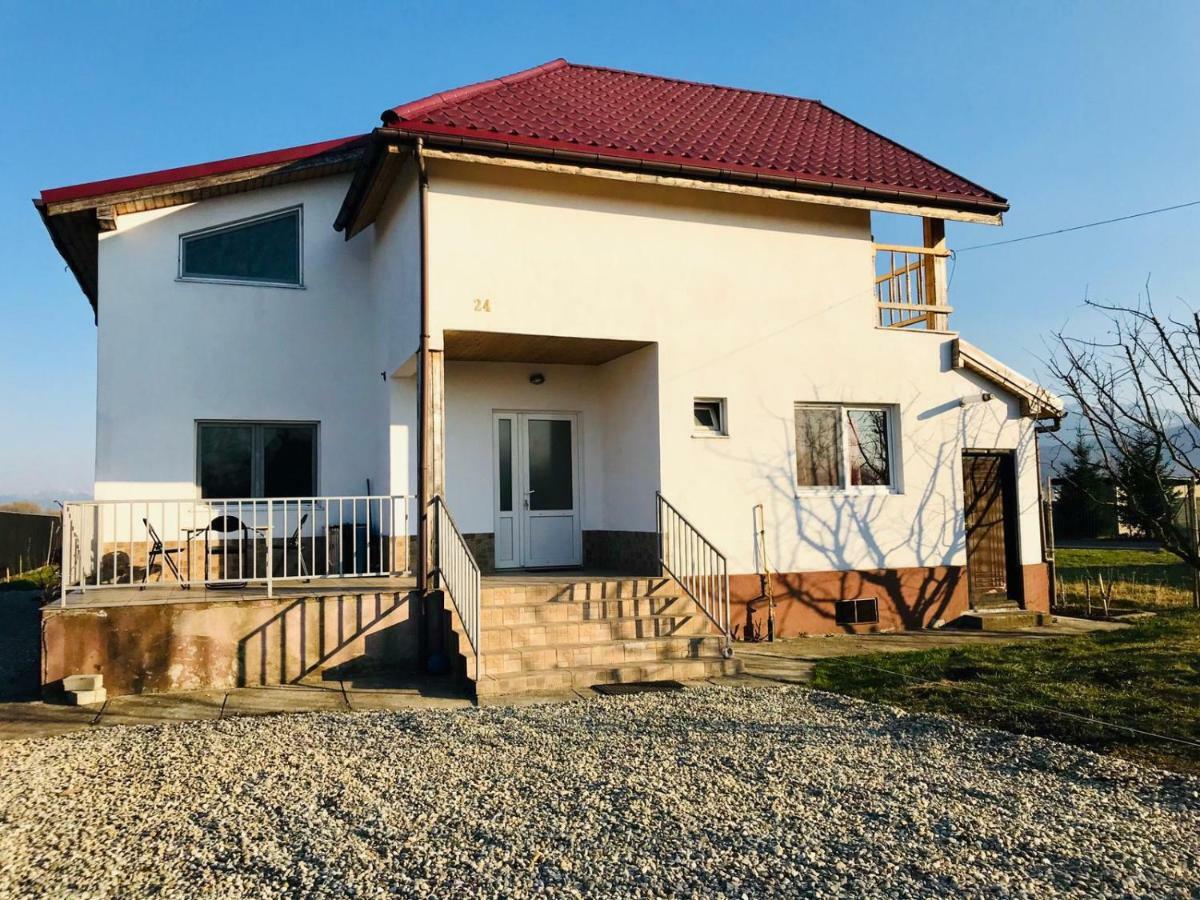 Vila Ekooos Brasov Ngoại thất bức ảnh