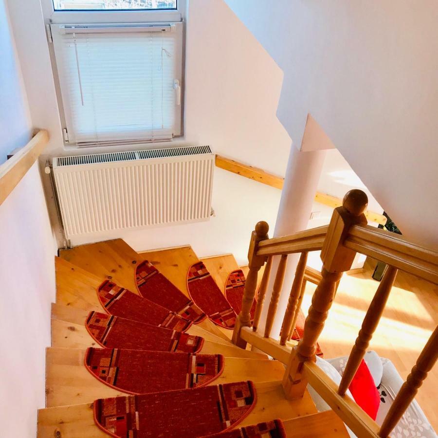 Vila Ekooos Brasov Ngoại thất bức ảnh