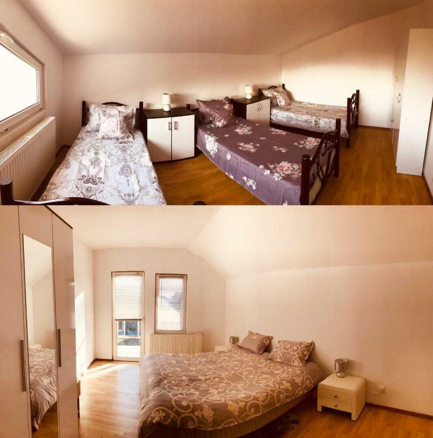 Vila Ekooos Brasov Ngoại thất bức ảnh