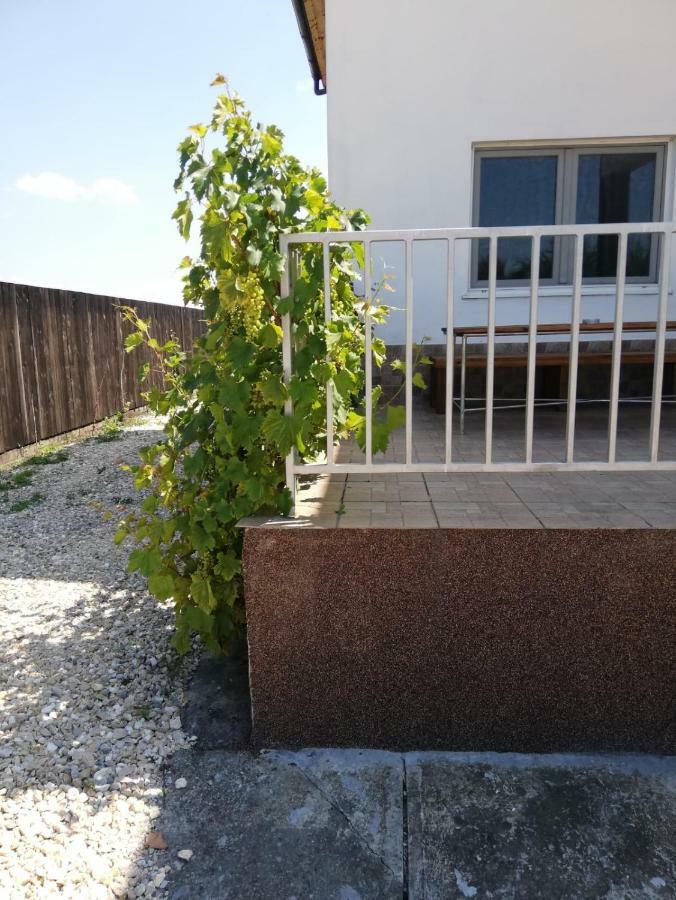 Vila Ekooos Brasov Ngoại thất bức ảnh