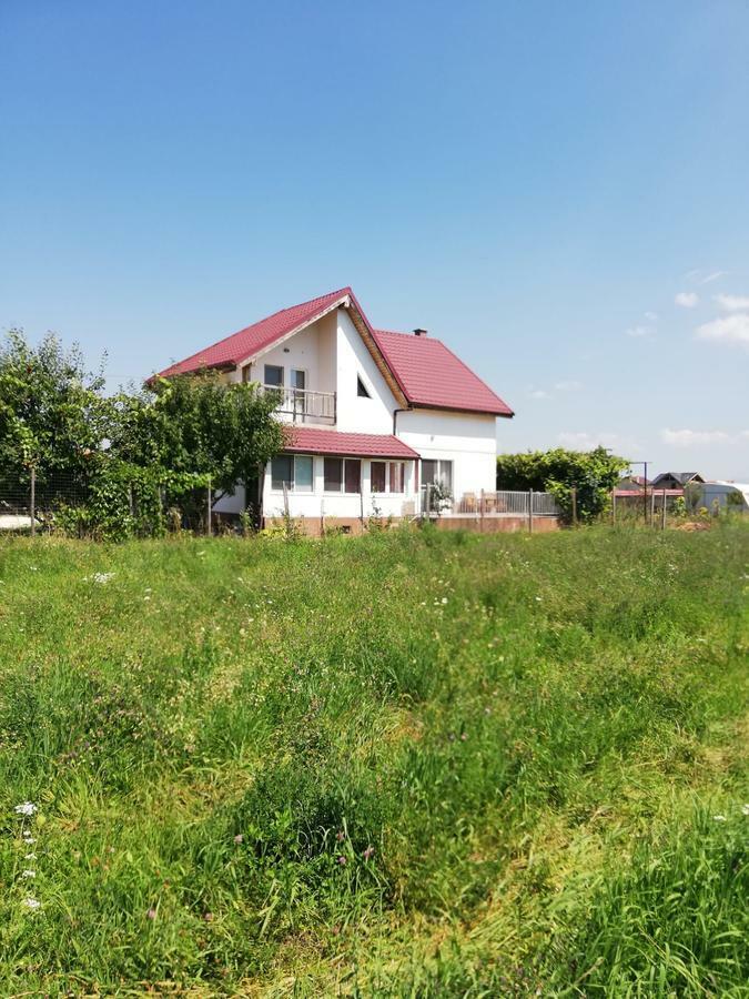 Vila Ekooos Brasov Ngoại thất bức ảnh