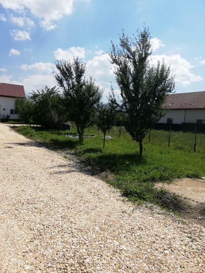 Vila Ekooos Brasov Ngoại thất bức ảnh